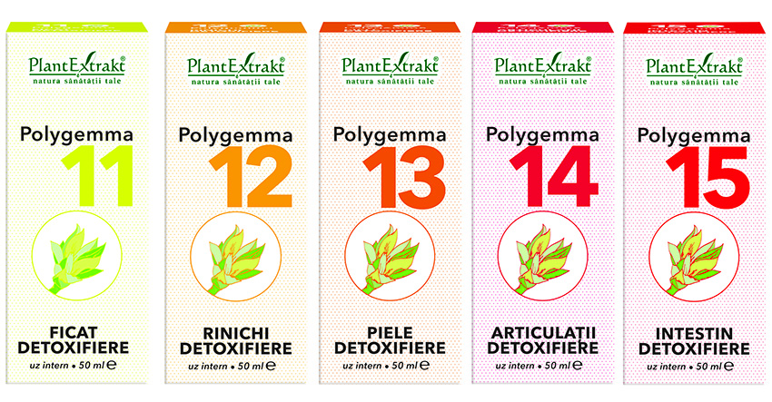 PlantExtrakt Polygemma 13 (Piele detoxifiere) PlantExtrakt 50 ml